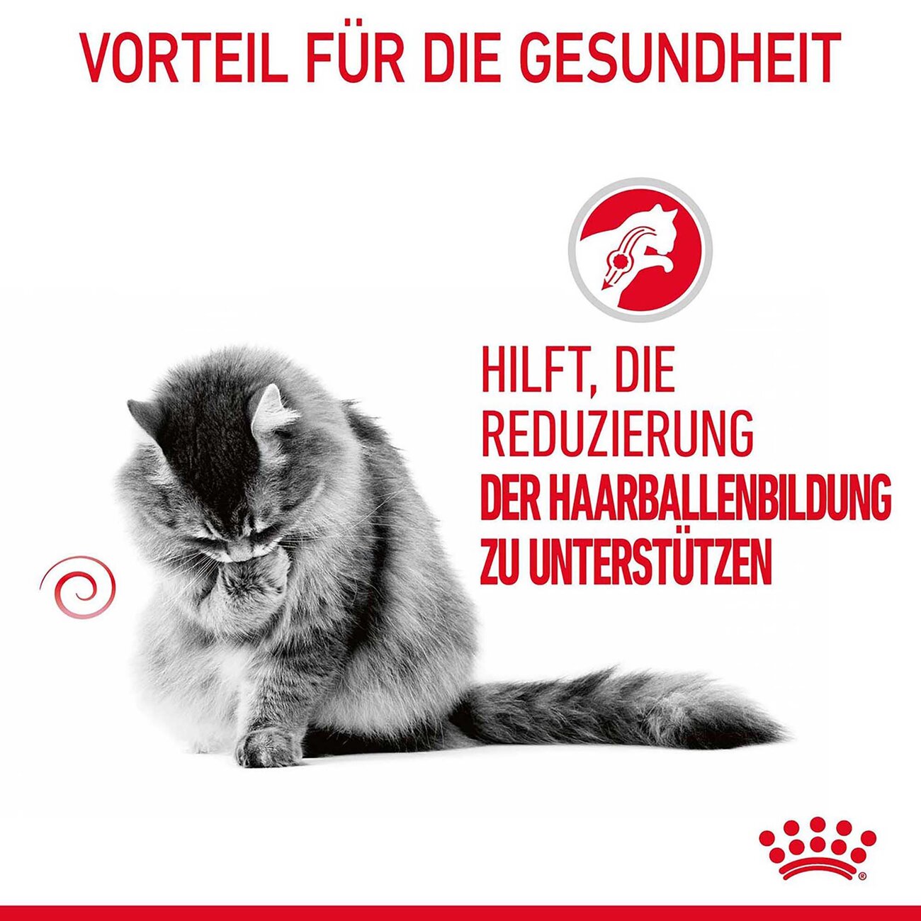 Royal Canin Hairball Care Katzenfutter nass gegen Haarballen Bild 2