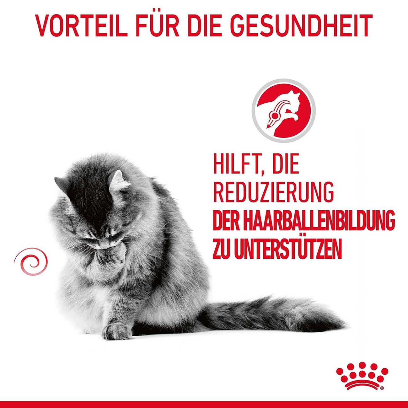 Royal Canin Hairball Care Katzenfutter trocken gegen Haarballen Bild 4