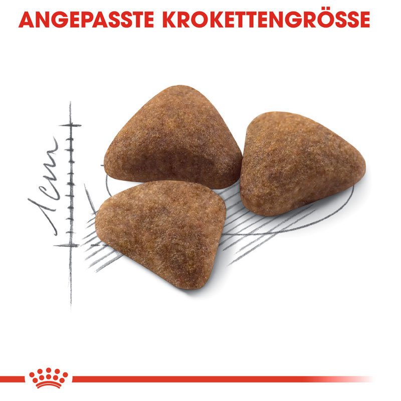 Royal Canin Indoor 27 Trockenfutter für Wohnungskatzen Bild 3