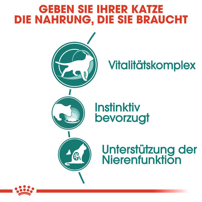Royal Canin Instinctive 7+ Nassfutter in Soße für ältere Katzen Bild 3