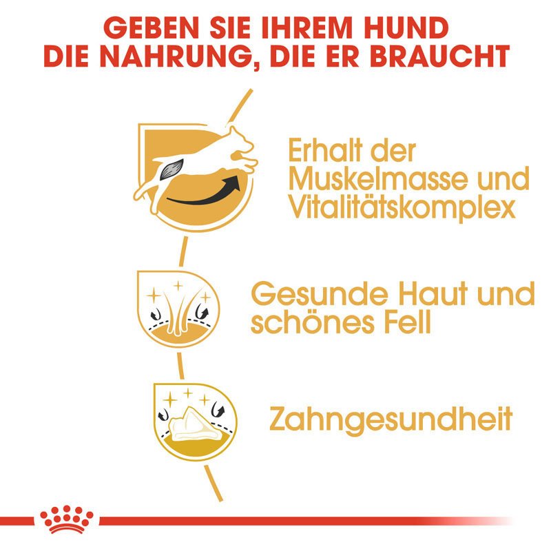 Royal Canin Jack Russell Terrier Adult Hundefutter trocken Bild 3