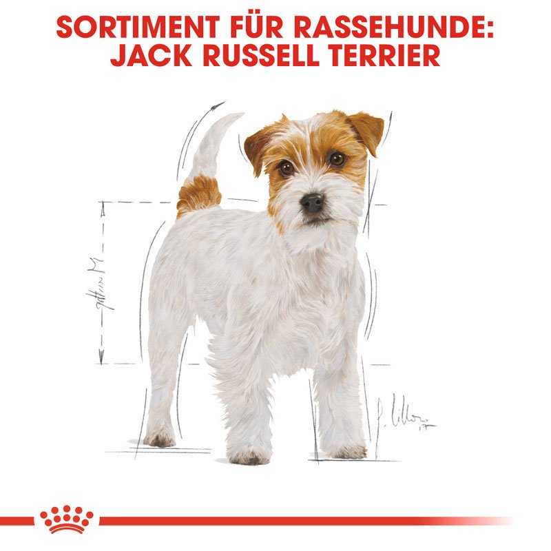 Royal Canin Jack Russell Terrier Adult Hundefutter trocken Bild 4