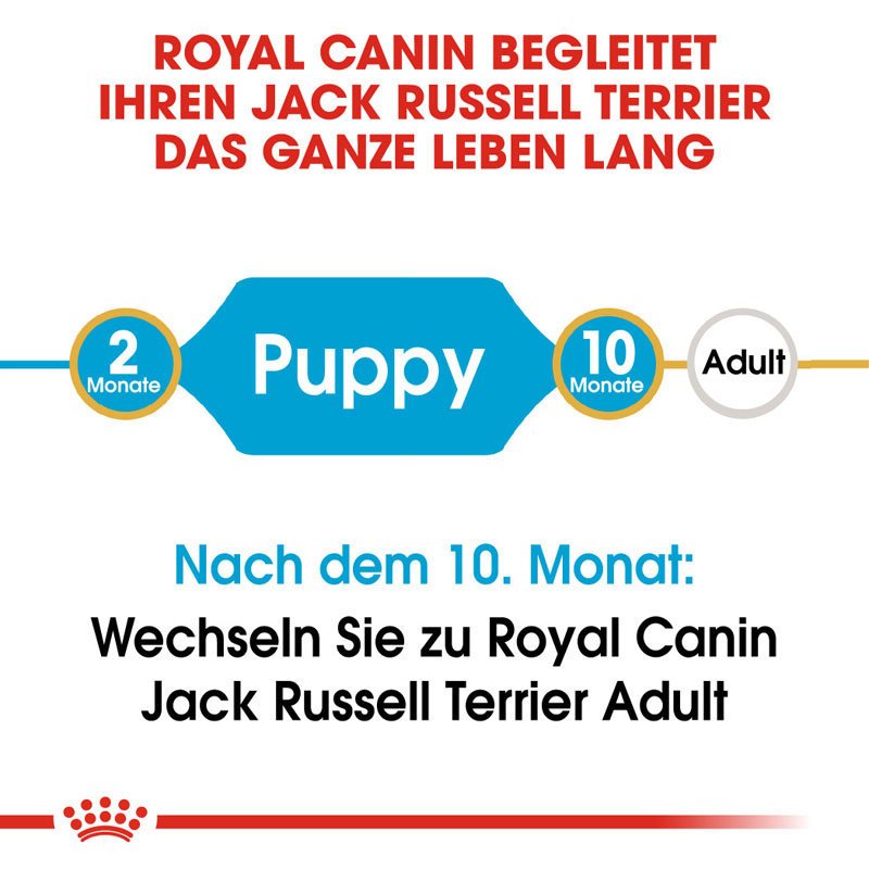 Royal Canin Jack Russell Terrier Puppy  Welpenfutter trocken Bild 6