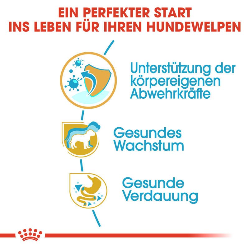 Royal Canin Jack Russell Terrier Puppy  Welpenfutter trocken Bild 3