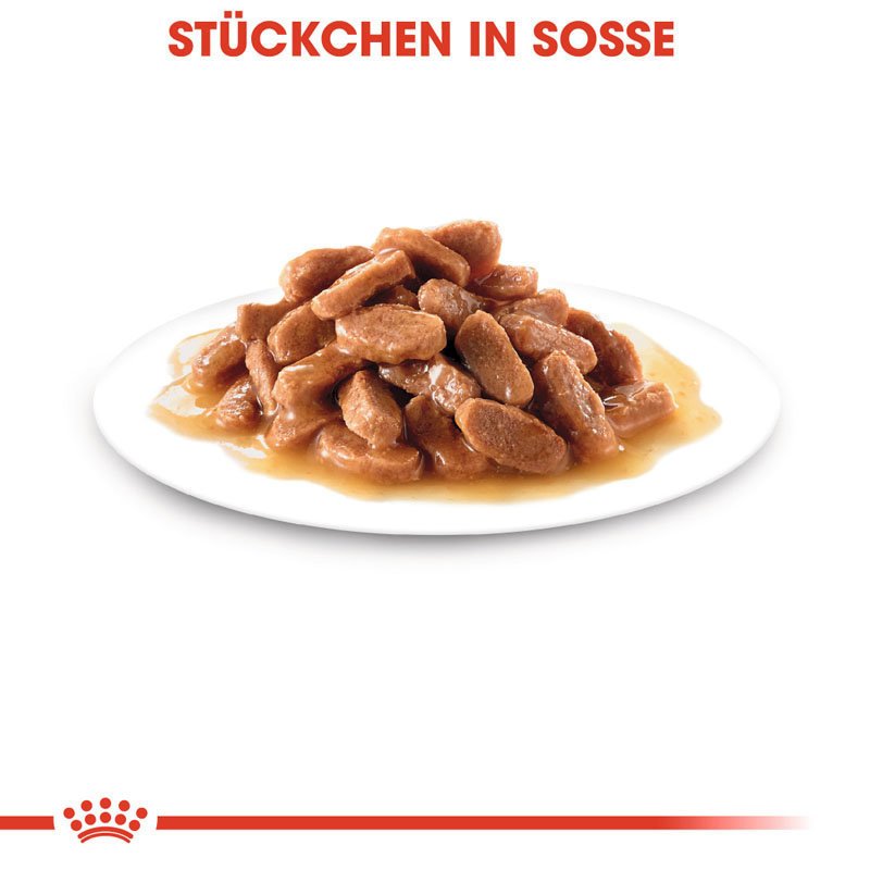 Royal Canin Kitten Nassfutter Bild 8