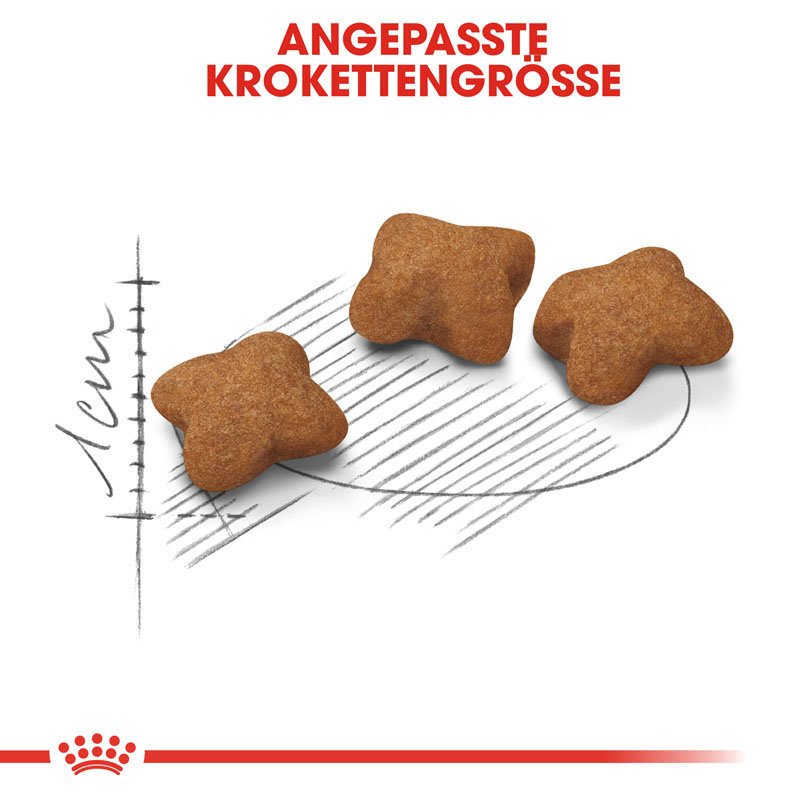 Royal Canin KITTEN Sterilised Kittenfutter für kastrierte Kätzchen Bild 4