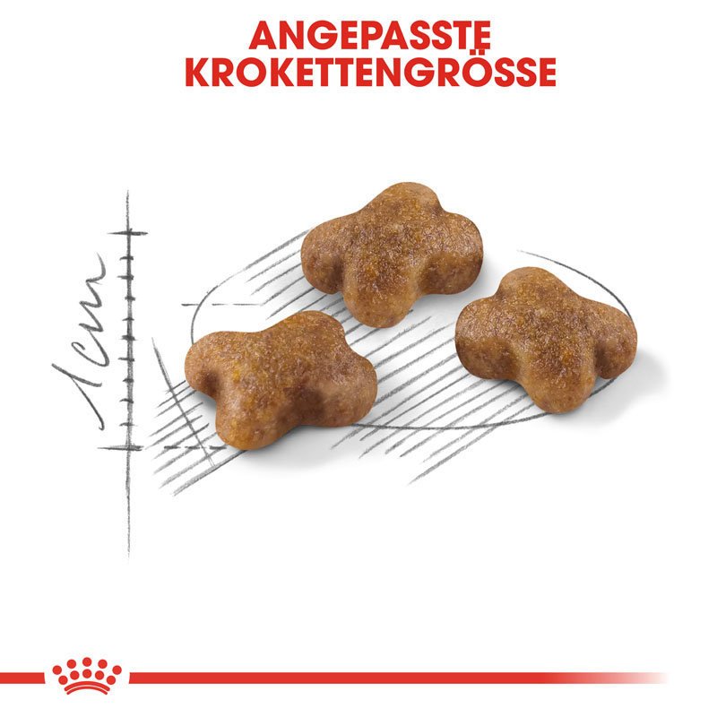 Royal Canin KITTEN Trockenfutter für Kätzchen Bild 3