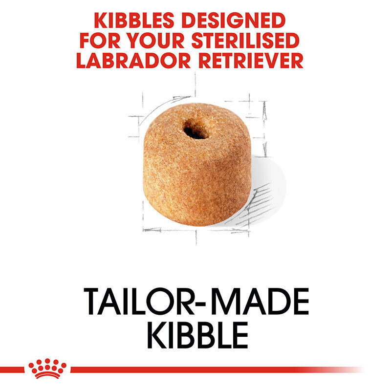 Royal Canin Labrador Retriever Adult Sterilised Trockenfutter für kastrierte Hunde Bild 5