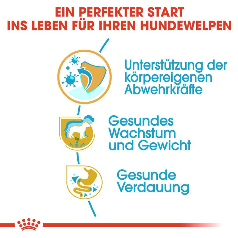 Royal Canin Labrador Retriever Puppy Welpenfutter trocken Bild 3