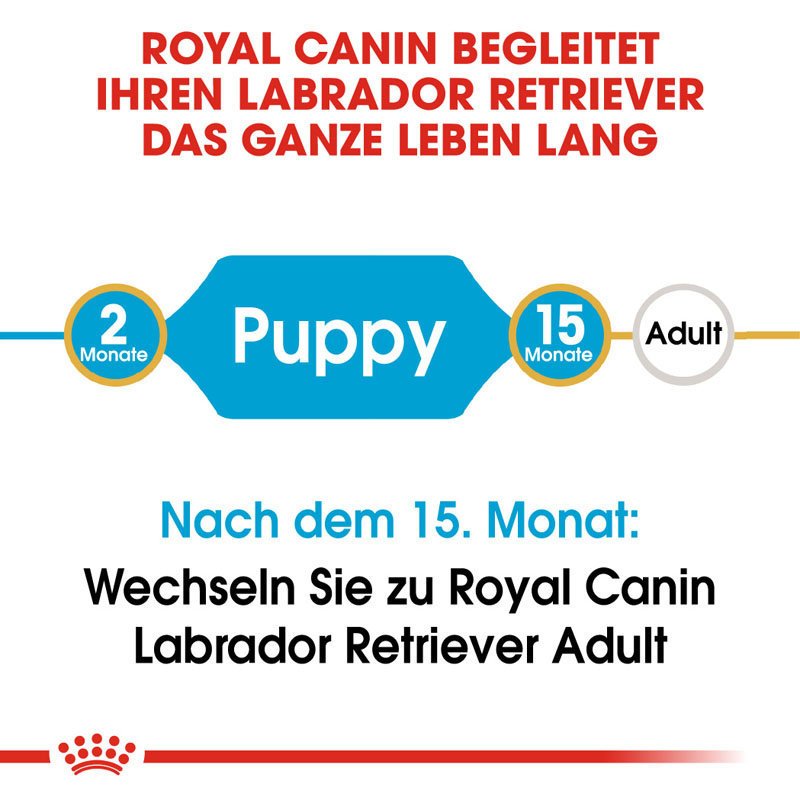 Royal Canin Labrador Retriever Puppy Welpenfutter trocken Bild 6