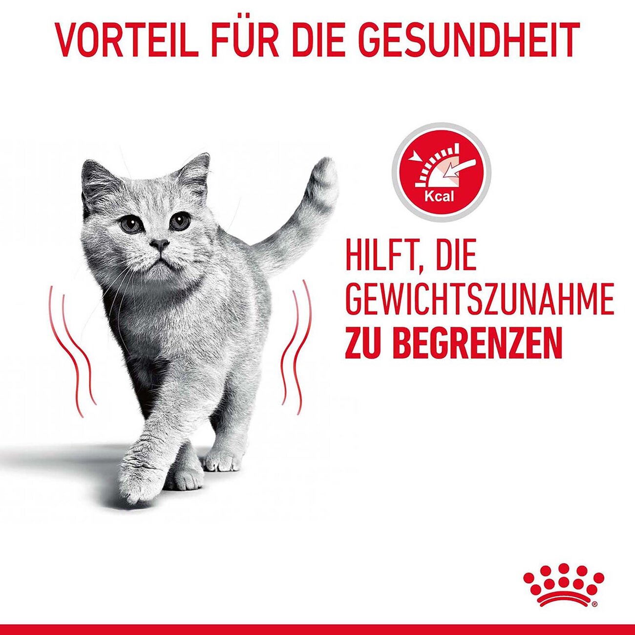 Royal Canin Light Weight Care Nassfutter für übergewichtige Katzen Bild 9