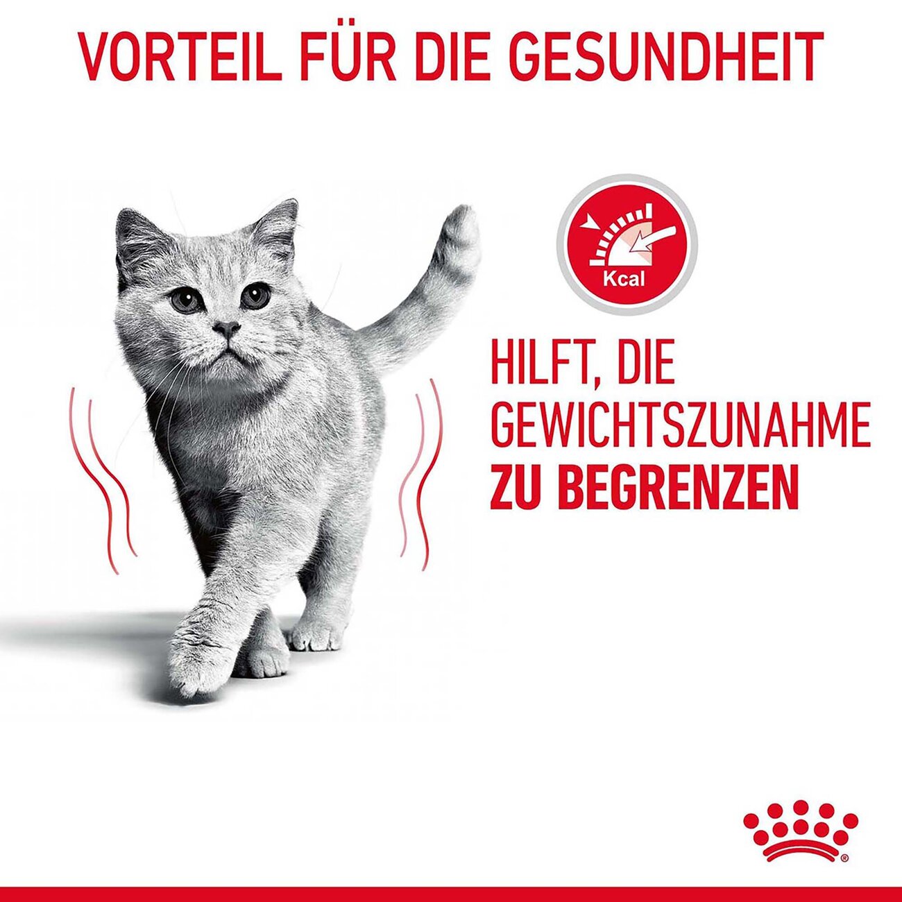 Royal Canin Light Weight Care Trockenfutter für übergewichtige Katzen Bild 8
