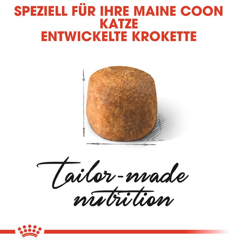 Royal Canin Maine Coon Adult Katzenfutter trocken Bild 4