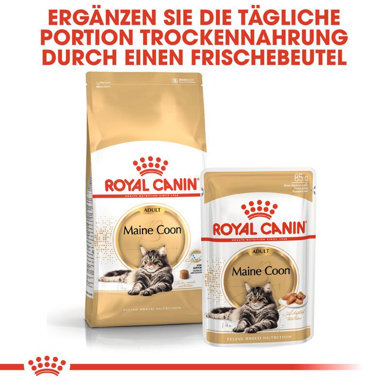 Royal Canin Maine Coon Adult Katzenfutter trocken Bild 6
