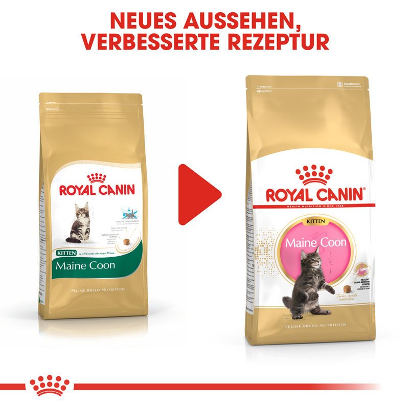 Royal Canin Maine Coon Kitten Bild 7