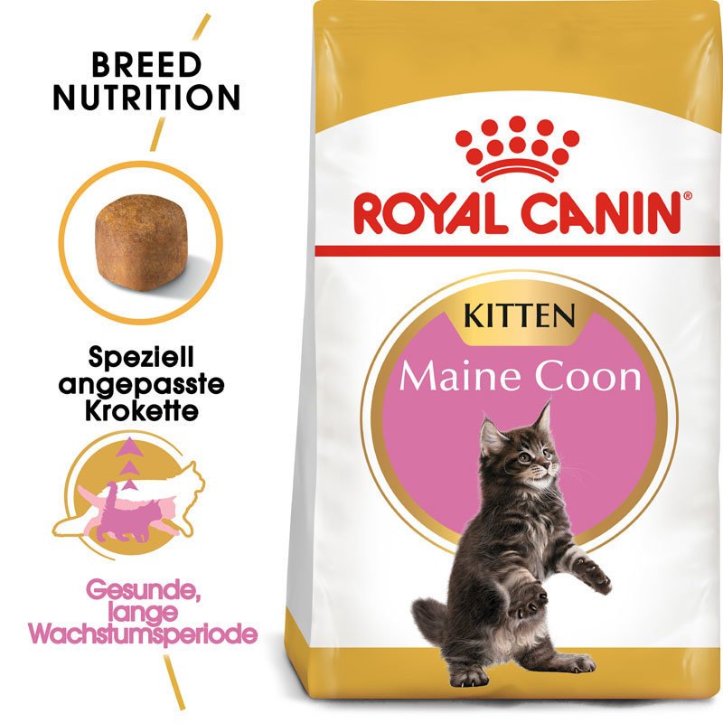 Royal Canin Maine Coon Kitten Bild 2