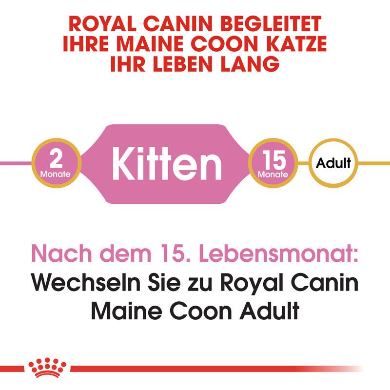 Royal Canin Maine Coon Kitten Bild 5