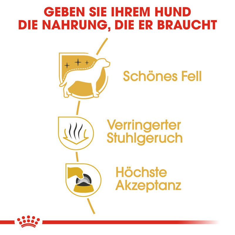 Royal Canin Maltese Adult Hundefutter trocken Bild 3