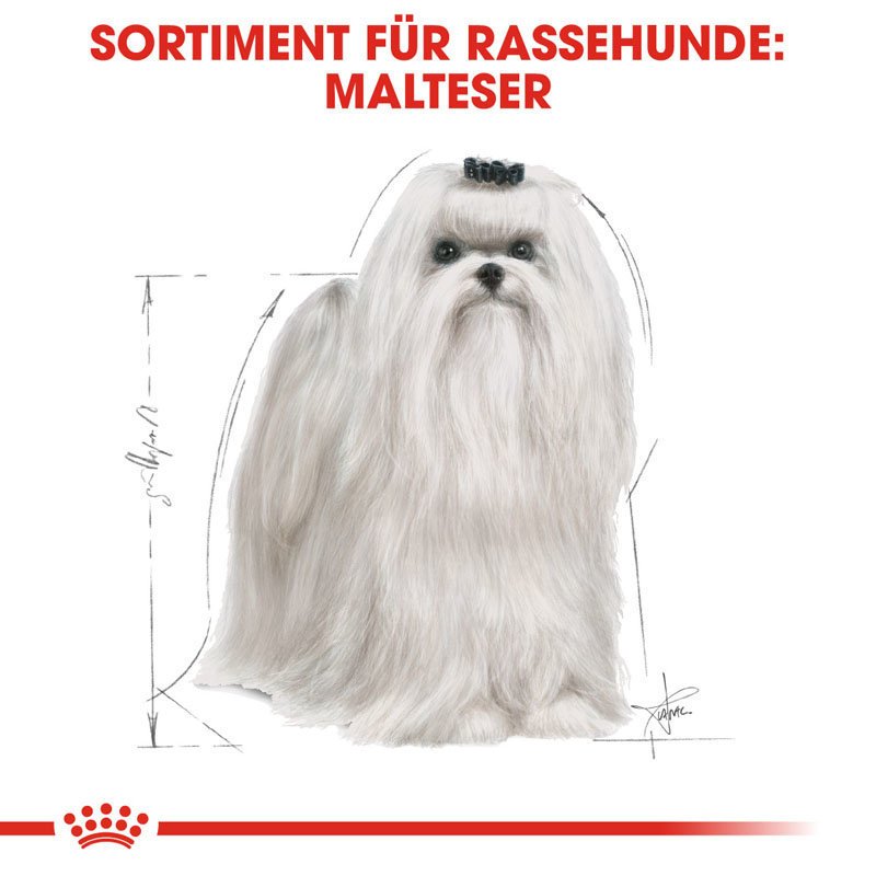 Royal Canin Maltese Adult Hundefutter trocken Bild 4