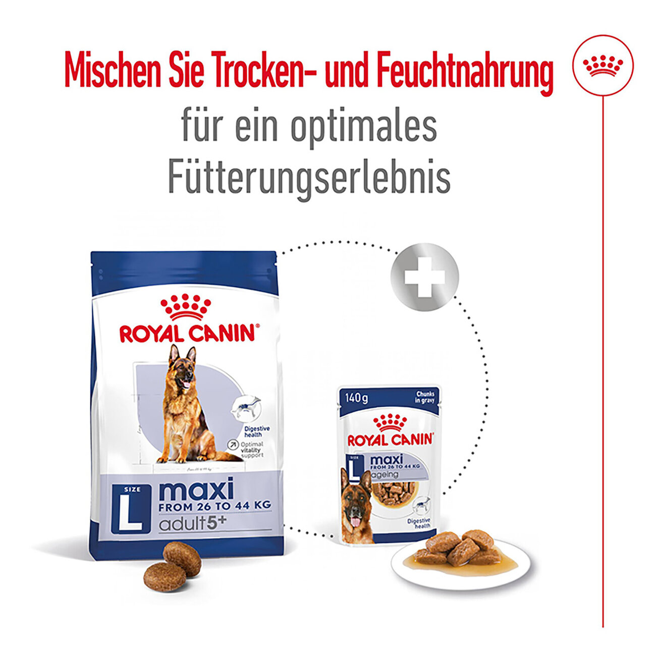 Royal Canin Maxi Adult 5+ Hundefutter Bild 2
