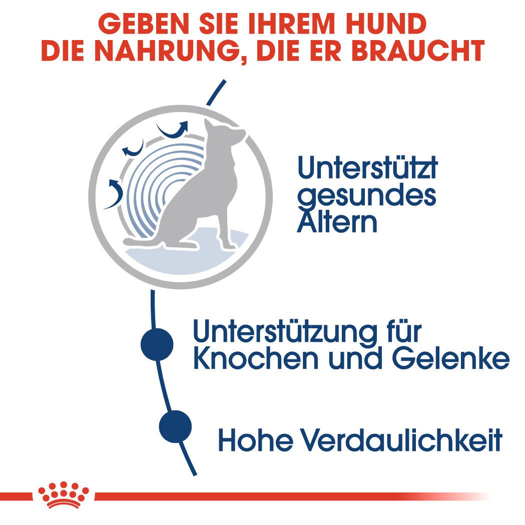 Royal Canin Maxi Ageing 8+ Nassfutter für ältere große Hunde Bild 3