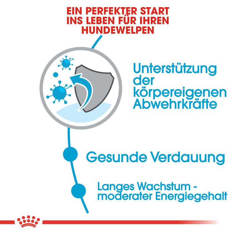 Royal Canin Maxi Puppy Welpenfutter trocken für große Hunde Bild 3