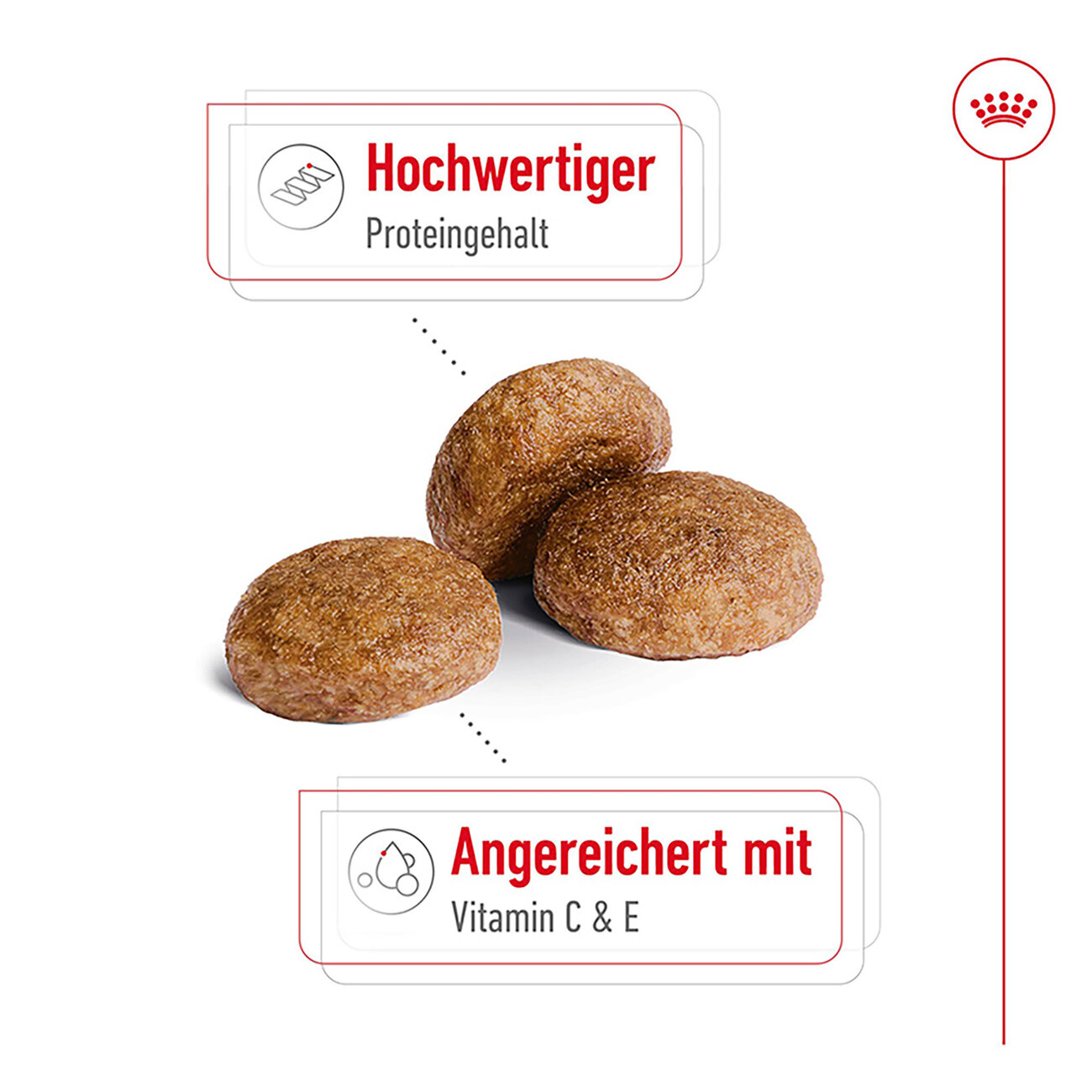 Royal Canin Medium Adult 7+  Trockenfutter für ältere mittelgroße Hunde Bild 5