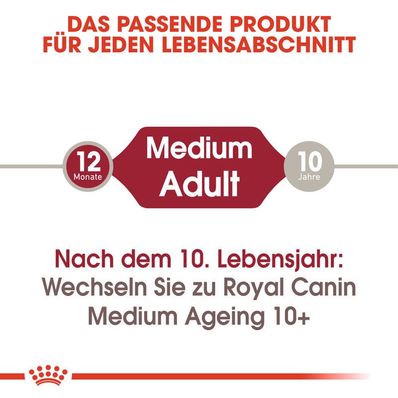 Royal Canin Medium Adult Nassfutter für mittelgroße Hunde Bild 6