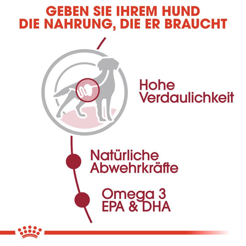 Royal Canin Medium Adult Nassfutter für mittelgroße Hunde Bild 3