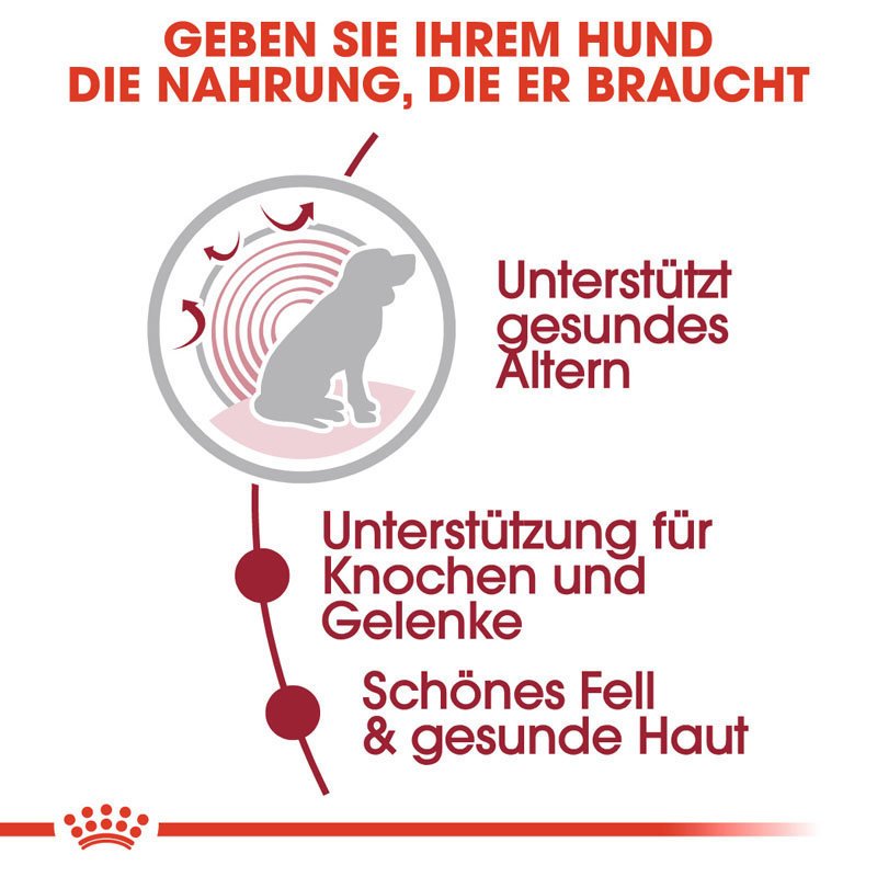Royal Canin Medium Ageing 10+ Nassfutter für ältere mittelgroße Hunde Bild 3