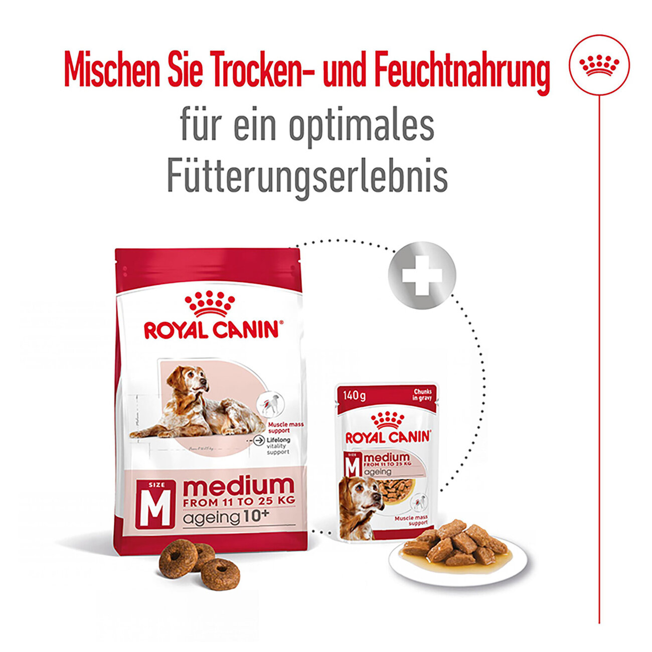 Royal Canin Medium Ageing 10+ Trockenfutter für ältere mittelgroße Hunde Bild 2