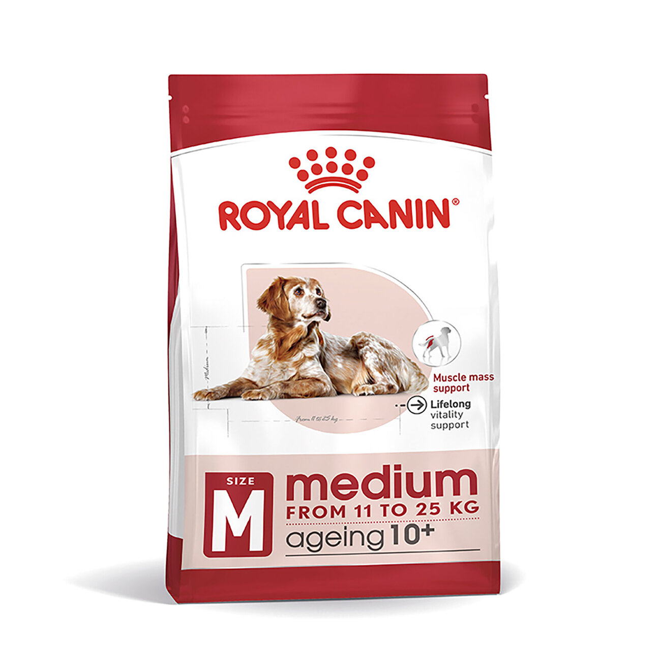 Royal Canin Medium Ageing 10+ Trockenfutter für ältere mittelgroße Hunde Bild 1