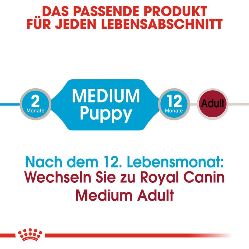 Royal Canin Medium Puppy Welpenfutter nass für mittelgroße Hunde Bild 5