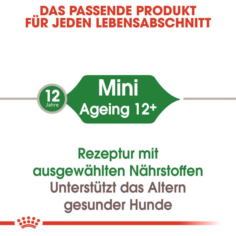 Royal Canin Mini Ageing 12+ Nassfutter für ältere kleine Hunde Bild 5