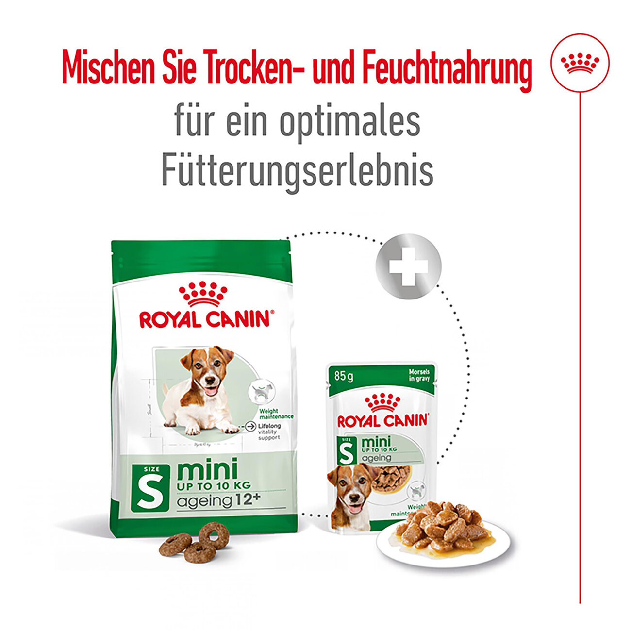 Royal Canin Mini Ageing 12+ Trockenfutter für ältere kleine Hunde Bild 2