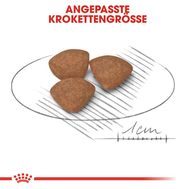 Royal Canin Mini Puppy Welpenfutter trocken für kleine Hunde Bild 4