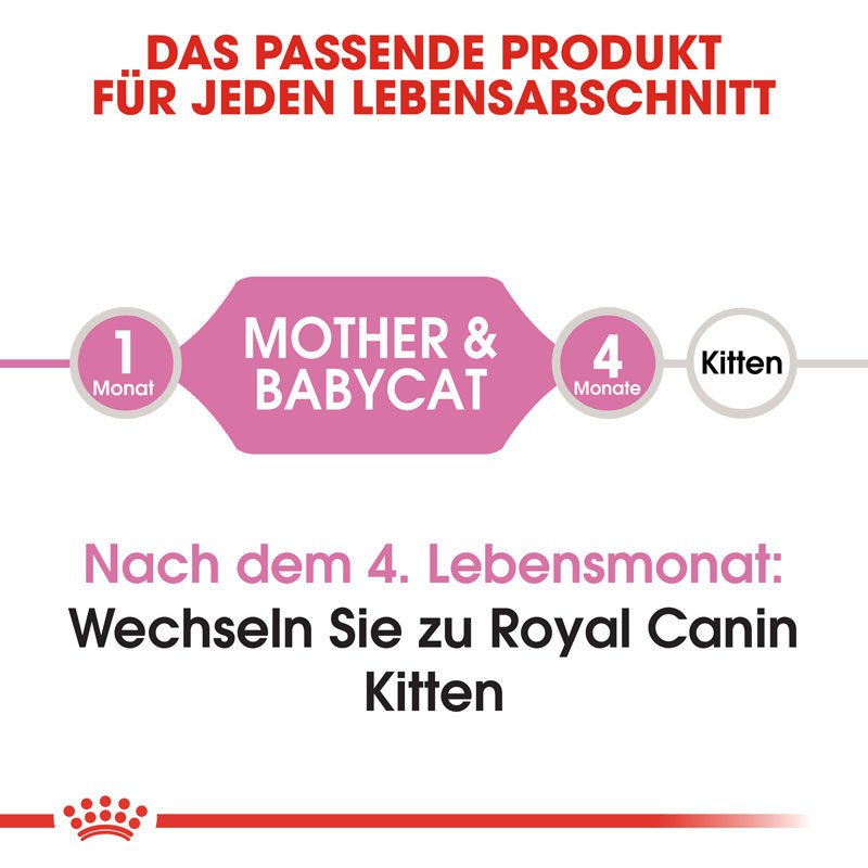 Royal Canin MOTHER & BABYCAT Katzenfutter für tragende Katzen und Kitten Bild 5