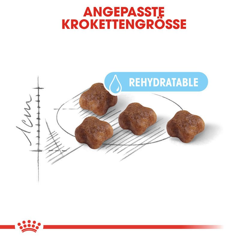 Royal Canin MOTHER & BABYCAT Katzenfutter für tragende Katzen und Kitten Bild 3