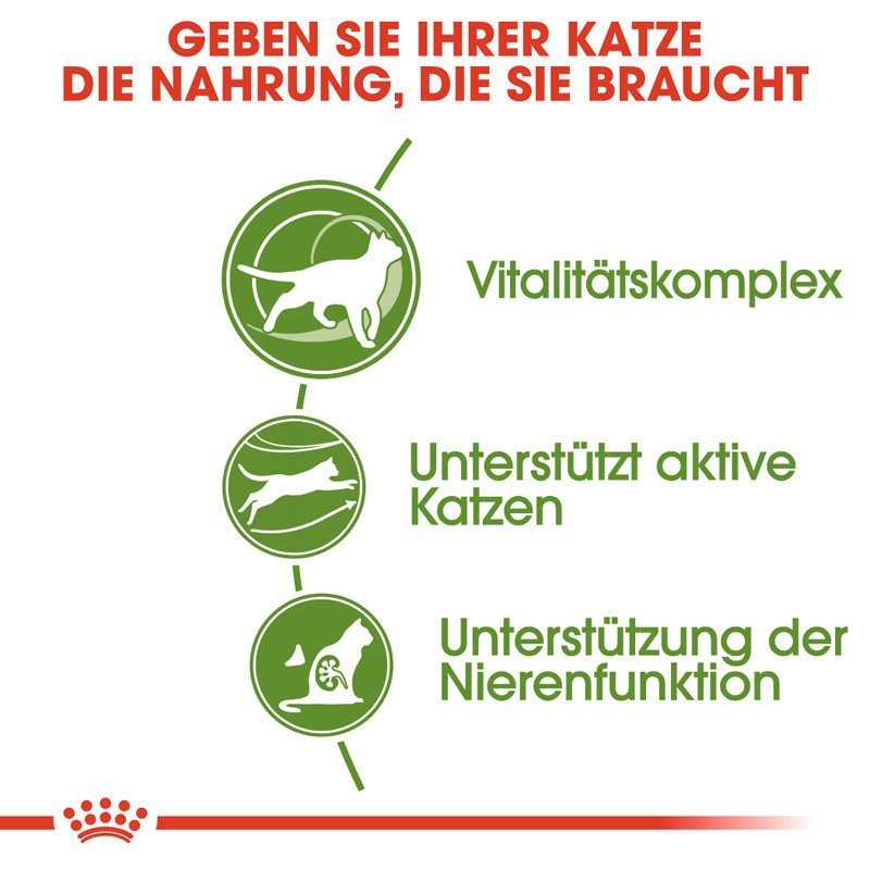 Royal Canin Outdoor 7+ Katzenfutter trocken für ältere Freigänger Bild 3