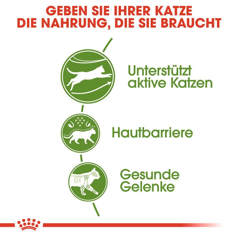 Royal Canin Outdoor Katzenfutter trocken für Freigänger Bild 4