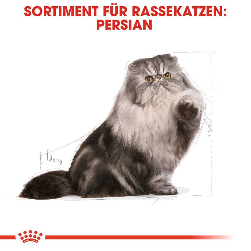 Royal Canin Persian Adult Trockenfutter für Perser-Katzen Bild 5
