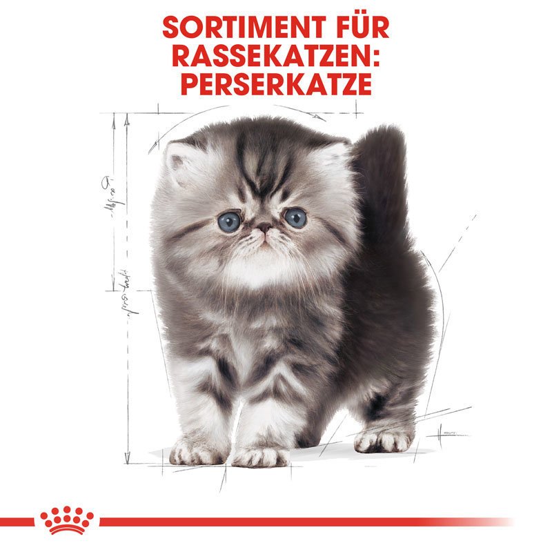 Royal Canin Persian Kittenfutter trocken für Perser-Kätzchen Bild 6