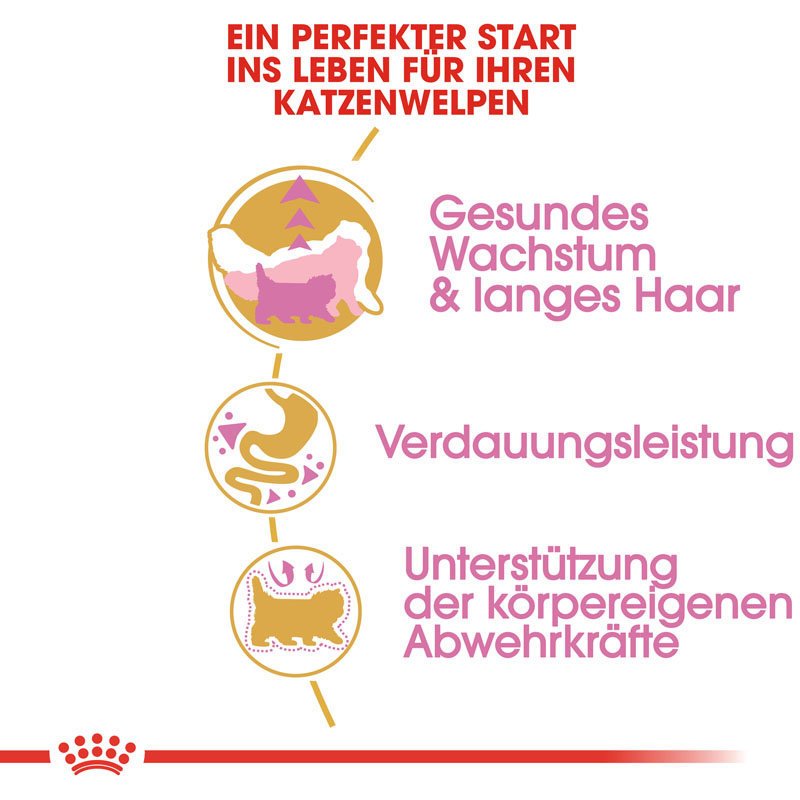 Royal Canin Persian Kittenfutter trocken für Perser-Kätzchen Bild 3