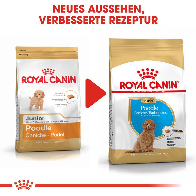 Royal Canin Poodle Puppy Welpenfutter für Pudel Bild 7