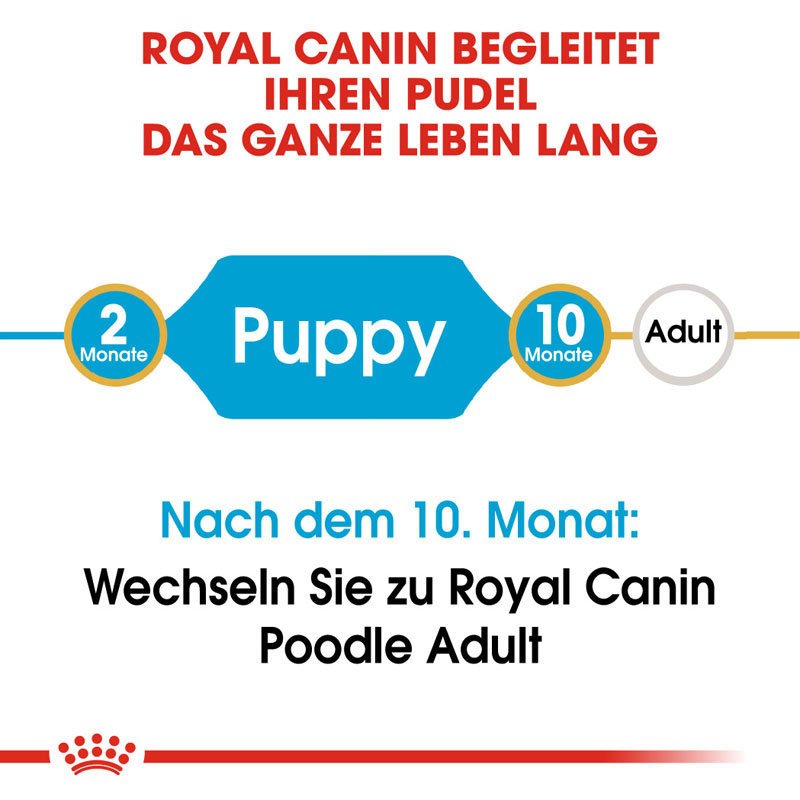 Royal Canin Poodle Puppy Welpenfutter für Pudel Bild 5