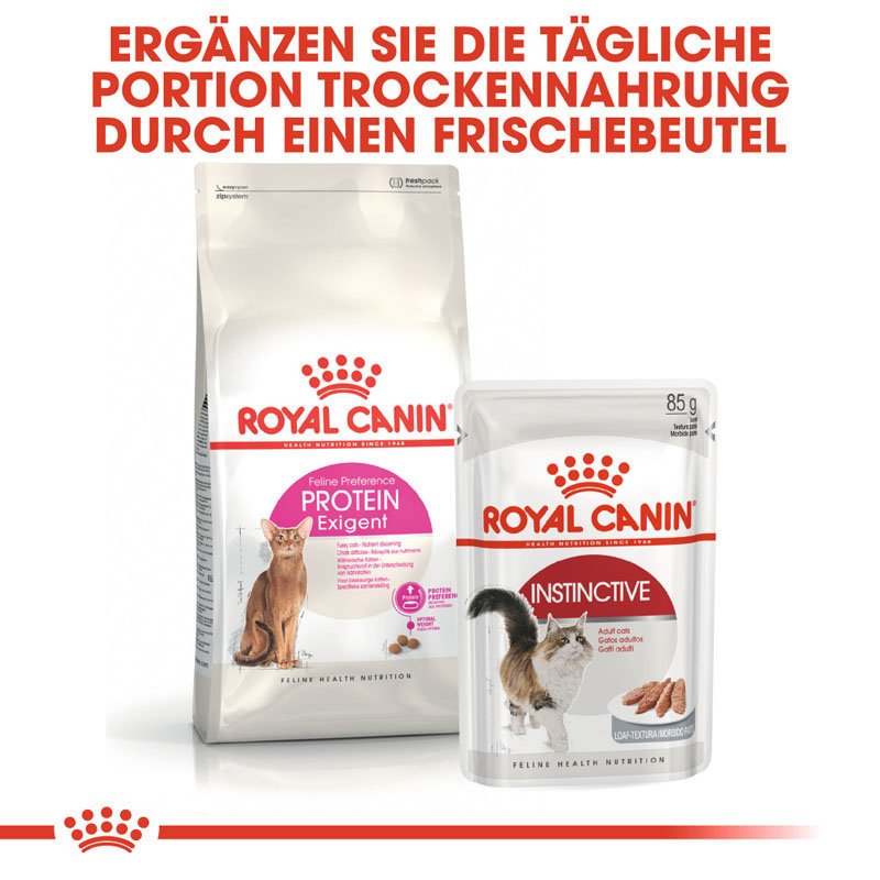 Royal Canin Protein Exigent Trockenfutter für wählerische Katzen Bild 7