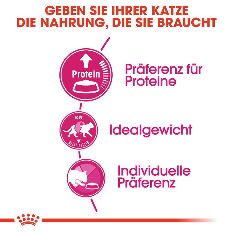 Royal Canin Protein Exigent Trockenfutter für wählerische Katzen Bild 3