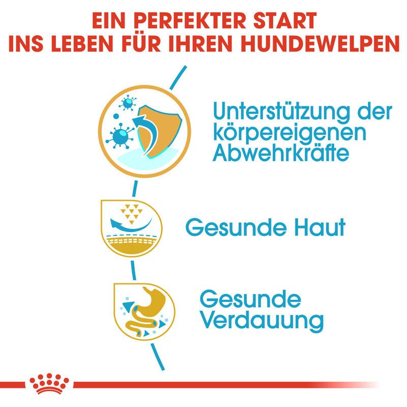 Royal Canin Pug Puppy Welpenfutter trocken für Mops Bild 3