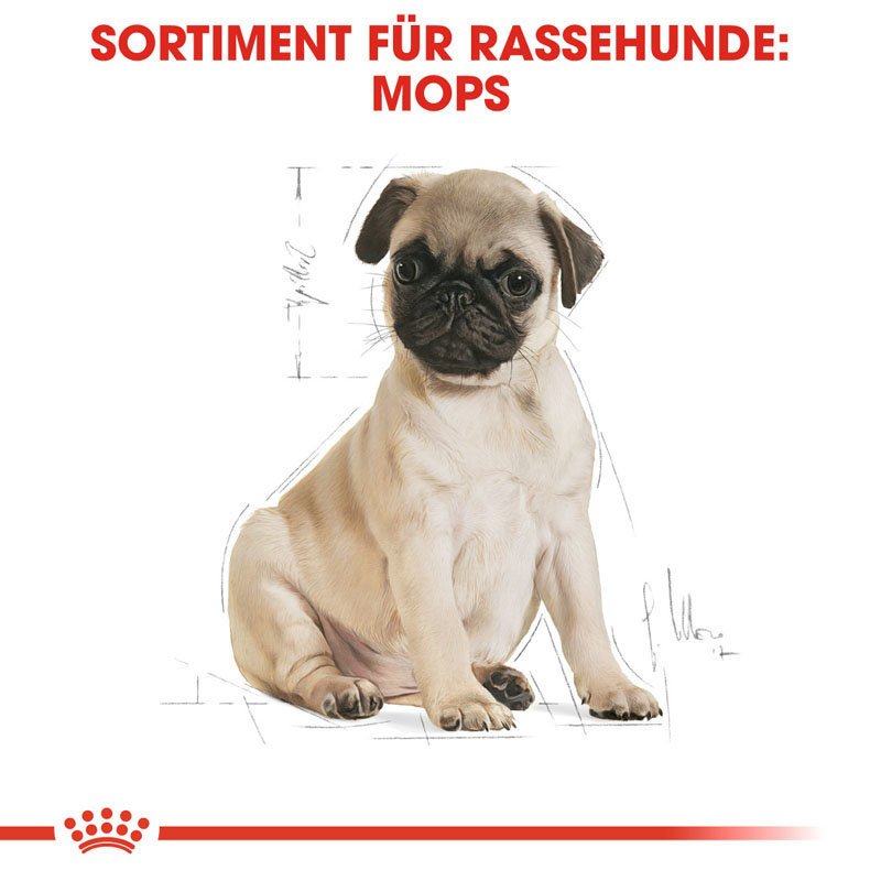 Royal Canin Pug Puppy Welpenfutter trocken für Mops Bild 4