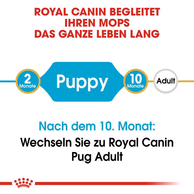 Royal Canin Pug Puppy Welpenfutter trocken für Mops Bild 5